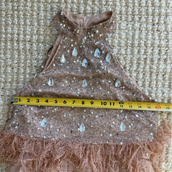 ASOS Pink Balletcore Sequin and Faux Feather Trim Midi Dress w Tulle Skirt US 0 - Picture 10 of 16